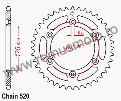 Pinion/Foaie KTM 125 EXC Enduro din 2004->2008