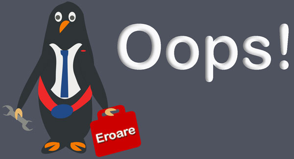eroare 404